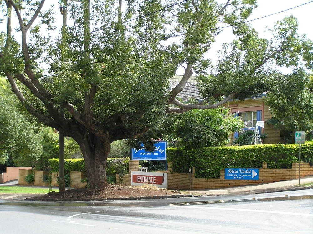 Blue Violet Motor Inn Toowoomba Buitenkant foto
