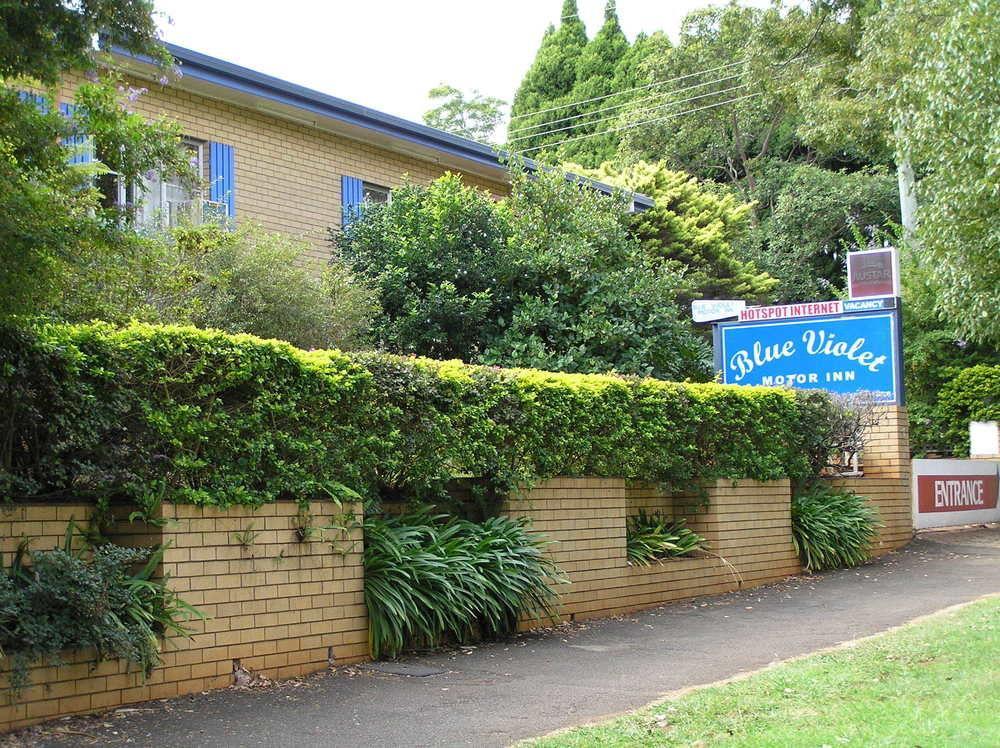Blue Violet Motor Inn Toowoomba Buitenkant foto